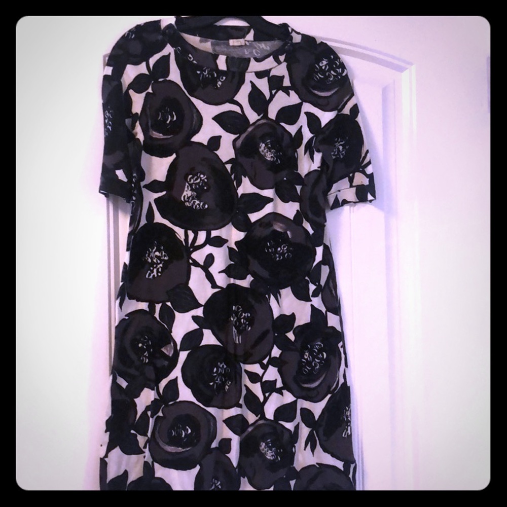 J. Crew sweater dress